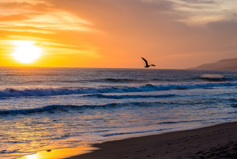 The Best Beaches in Los Angeles