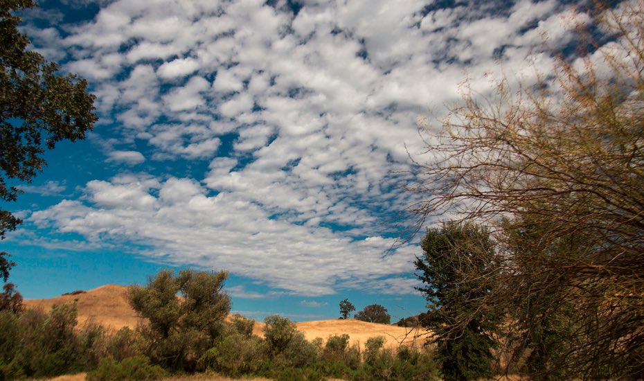 Cheeseboro Canyon