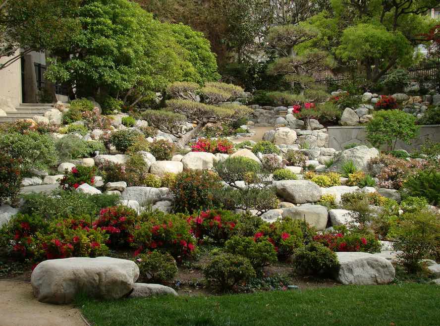 Australische planten om te proberen in Los Angeles Garden