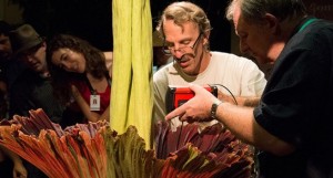 Corpse Flower Blooms at Huntington Library