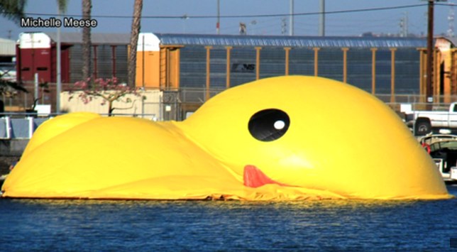 Deflated Rubber Duck