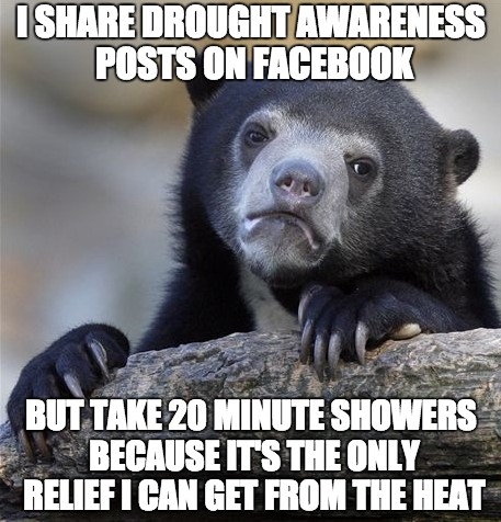 Confession Bear Drought Meme