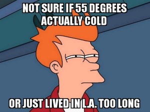Los Angeles Weather Meme