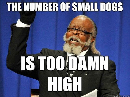 Small Dogs Meme