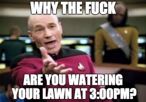 Lawn Drought Meme