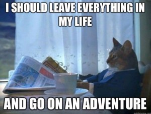 Adventure Realization Cat