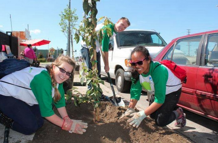 City Plants Volunteers