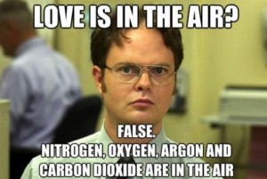 Dwight Schrute on Love