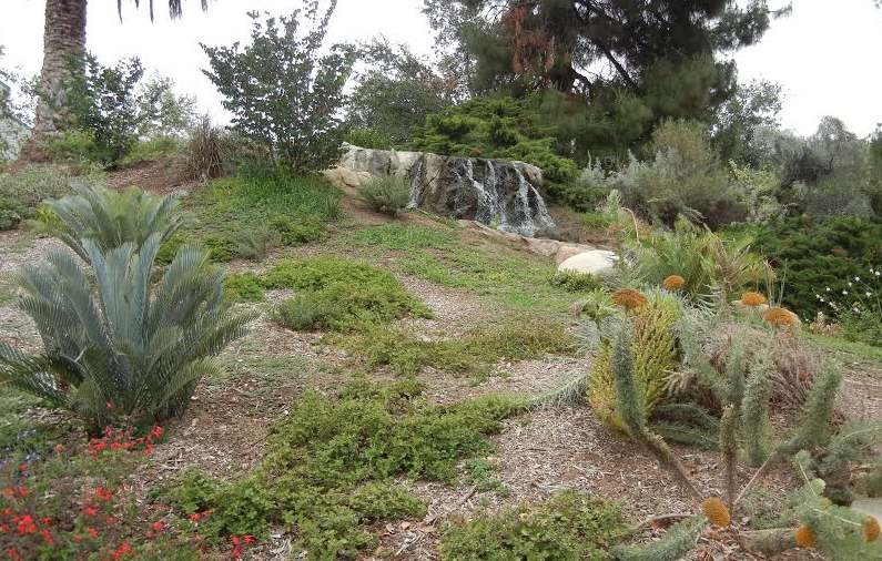 Fullerton Arboretum