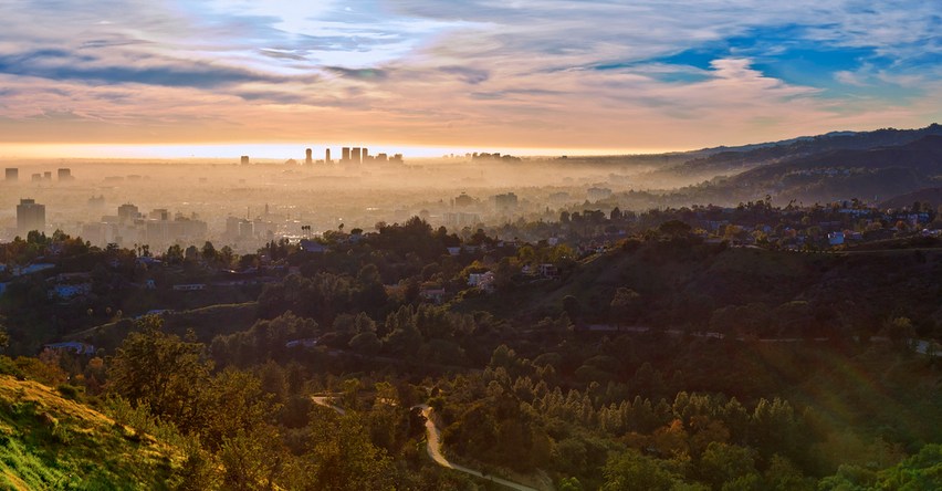 Griffith Observatory View