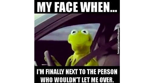 kermit the frog driving face