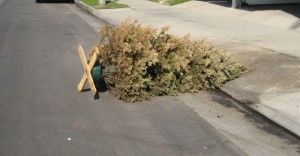 Trashed Christmas Tree