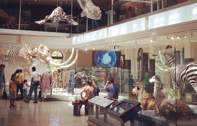 Visit Natural History Museum Los Angeles