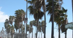 Venice Beach Wind Gusts