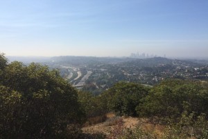 View from atop Beacon Hill in Griffith Park