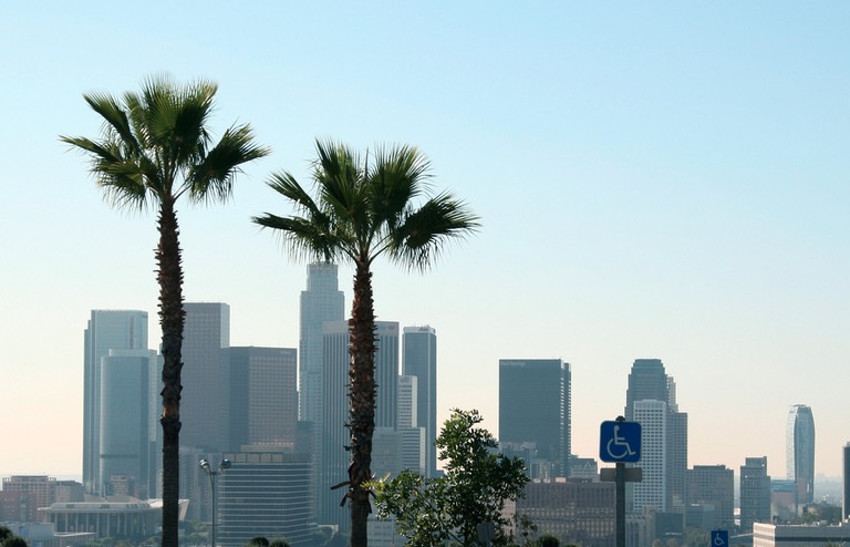 Downtown L.A. with Palm Trees