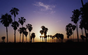 Venice Beach sunset