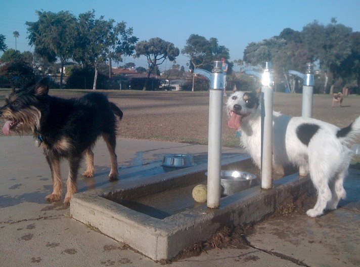 Redondo Beach Dog Park