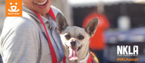 NKLA Super Adoption