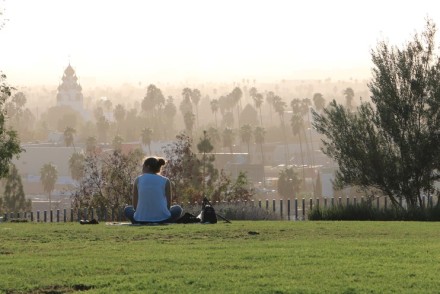 Barnsdall Park afternoon