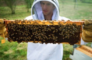 Beekeeper with Honey Super