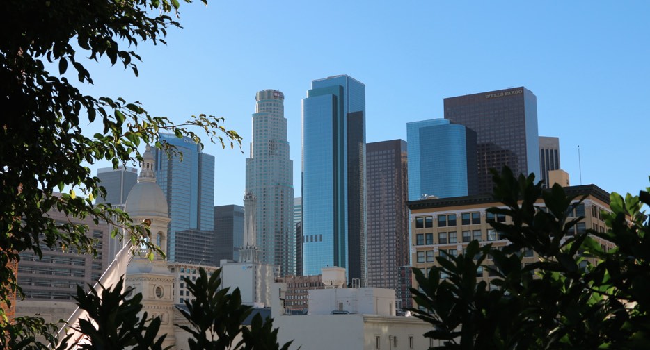 DTLA View from Japanese Garden