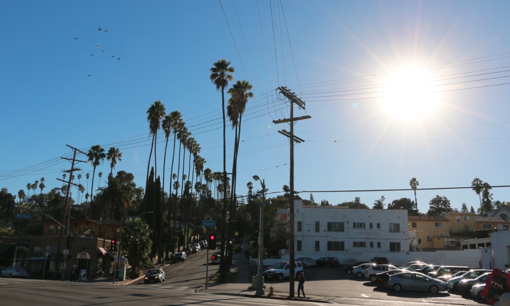 Sunset Blvd in Silver Lake