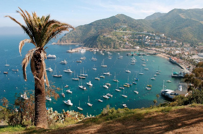 Avalon Catalina Island