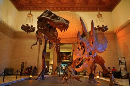 Natural History Museum