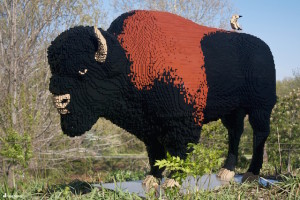 LEGO Bison Nature Connects