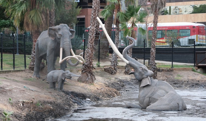 La Brea Tar Pits