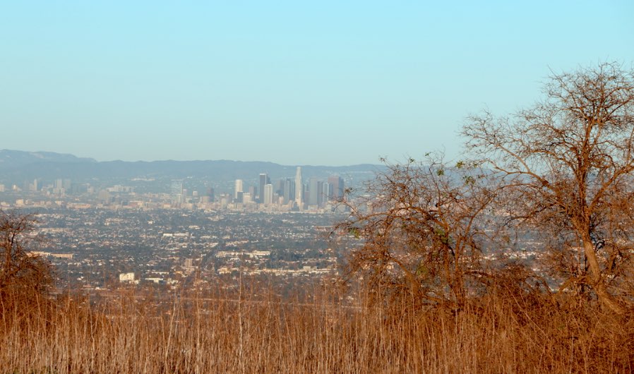 Los Angele Turnbull Canyon View