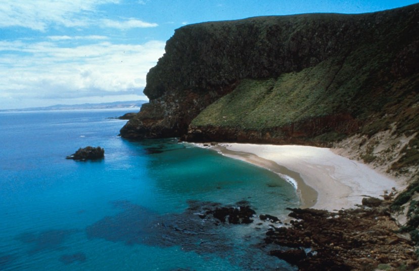 San Miguel Island Cliffs