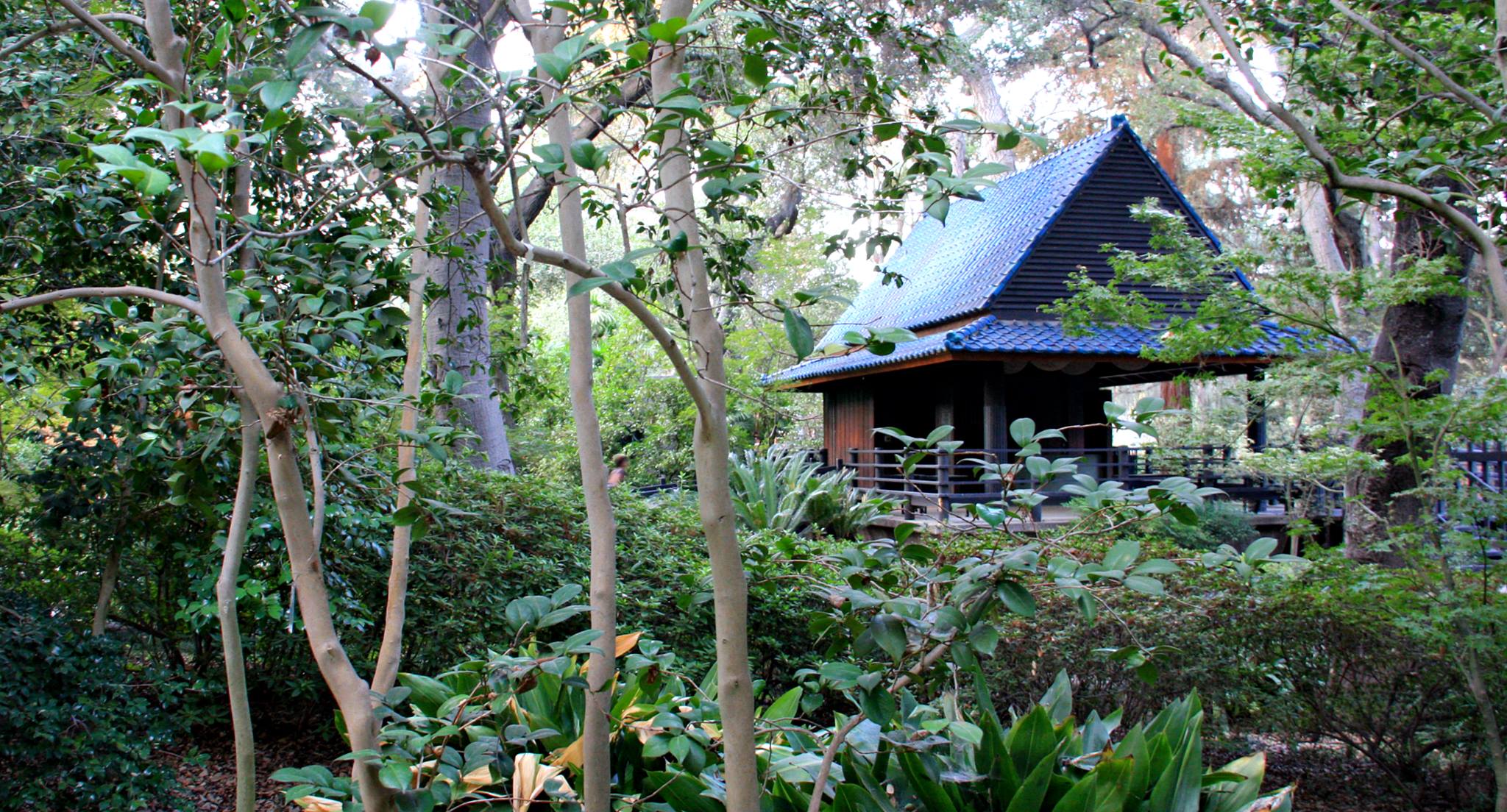 Descano Gardens Japanese Gardens