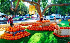 kidspace pumpkin festival featured
