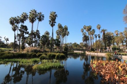Echo Park Lake