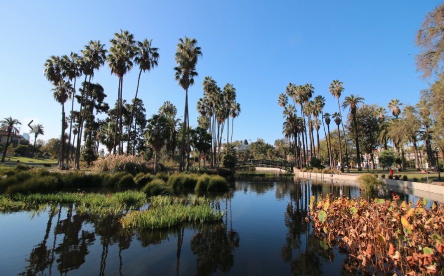 Echo Park Lake in Los Angeles - Explore an Oasis of Fountains and Palm  Trees in Los Angeles – Go Guides