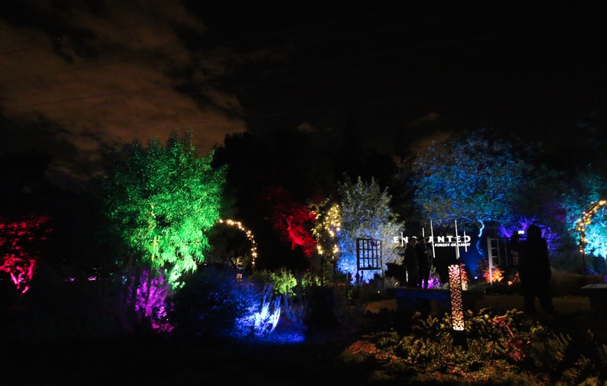 Enchanted Forest of Light Descanso Gardens