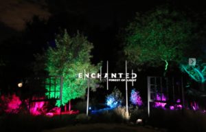 Enchanted Forest of Light Sign
