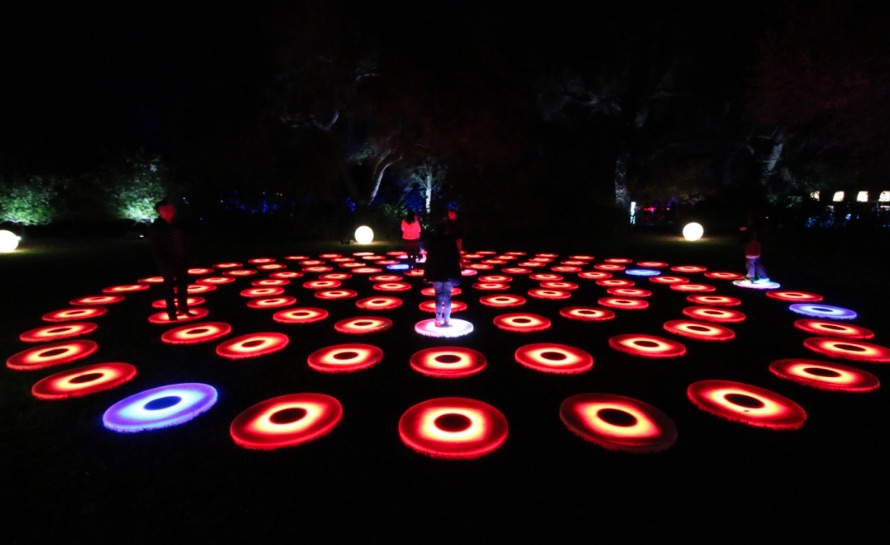 Luminous Lawn