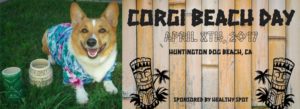 Spring 2017 So Cal Corgi Beach Day at Huntington Dog Beach