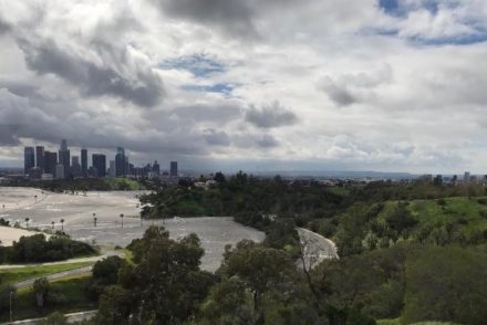 Los Angeles after rain
