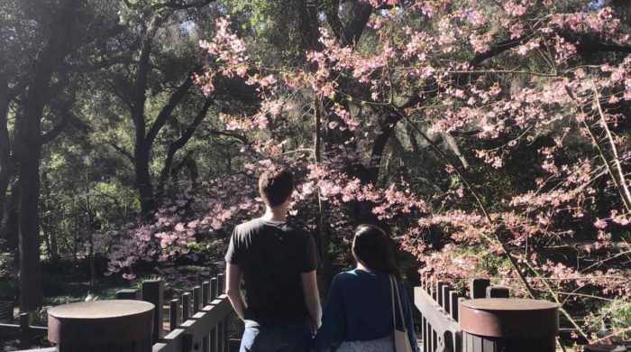 Descanso Gardens Japanese Garden