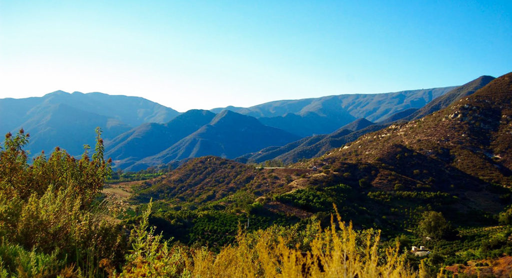 ojai valley