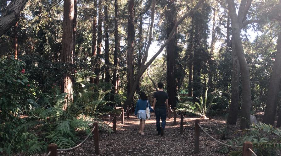 Walk through Descanso Gardens