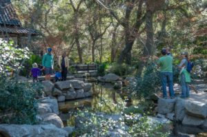 Descanso Gardens presents Wet & Wonderful a Celebration of Water