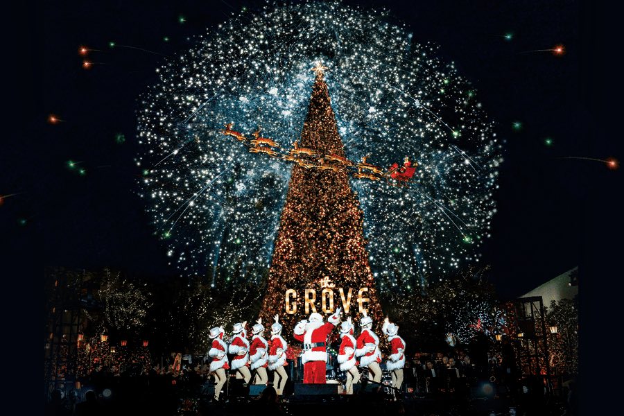 The Grove Tree Lighting