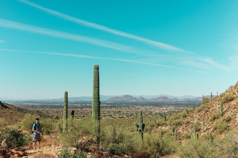 mike mcdowell sonoran preserve