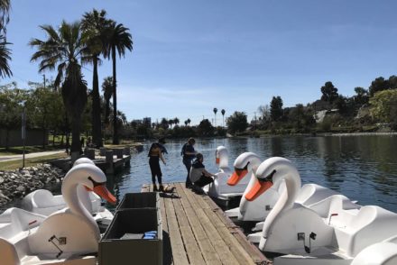 Swan boat prep Echo Park Lake