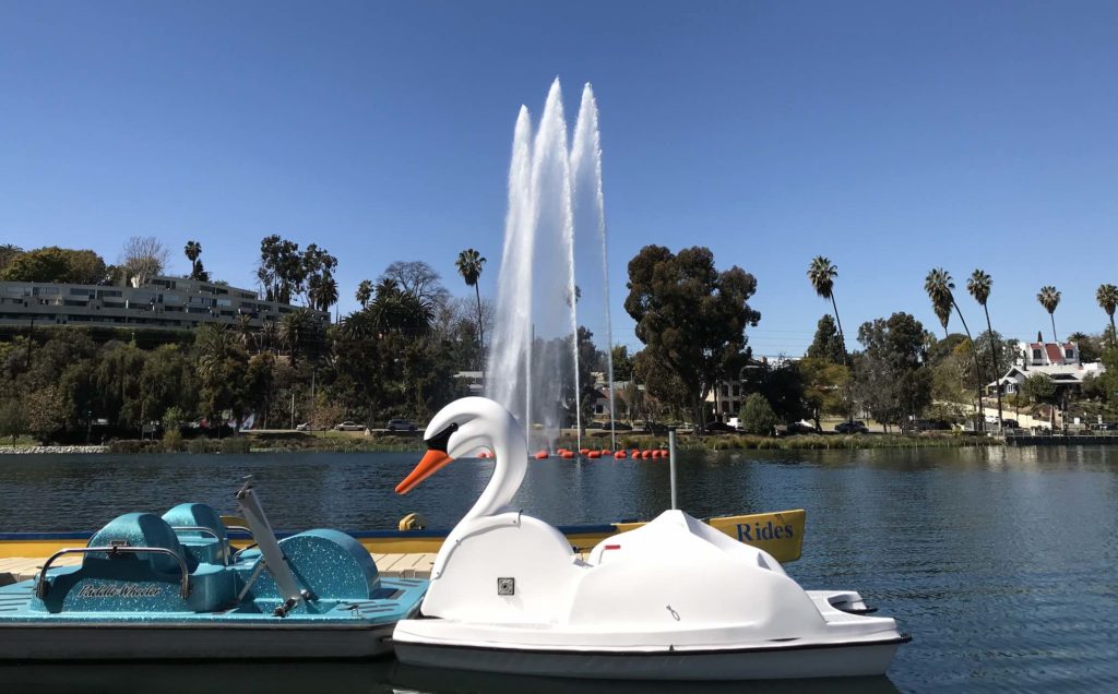 Swan pedal boat Echo Park Lake